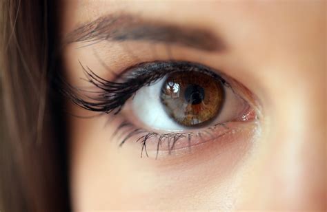 remedios caseros para acabar con las bolsas en los ojos cositas femeninas