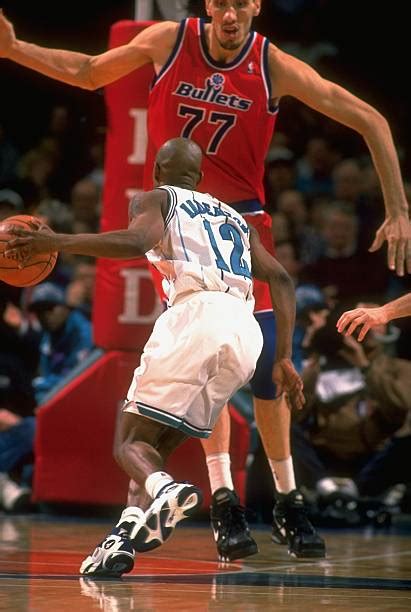 washington bullets gheorghe muresan pictures getty images