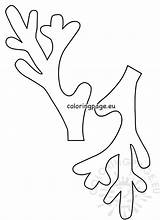 Reindeer Antlers Template Christmas Coloring Printable Pages Templates Hat Coloringpage Eu Ornaments Choose Board sketch template