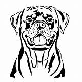 Rottweiler Vector Sketch Silhouette Contour Vectors Schets Duitse Omtrek Portret Schattenbild Vectorhand Vlinderdas Vektorgrafik Skizze Deutschen sketch template