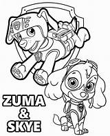 Zuma Pups sketch template