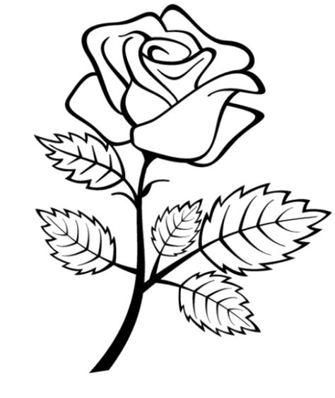 rose flower coloring pages getcoloringpagescom