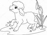 Coloring Lamb Pages Easter God Book Farm Sheep Jesus Kids Drawing Para Animal Colorear Tattoo Dibujos March Getdrawings Cartoon выбрать sketch template