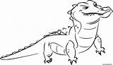 Roi Garde Coloriage Crocodile Imprimer sketch template