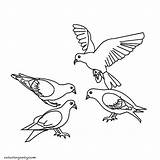 Pigeons Coloring Pages Kids Printable sketch template