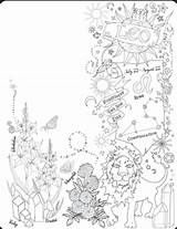 Coloring Pages Shadows Book Choose Board Witch sketch template