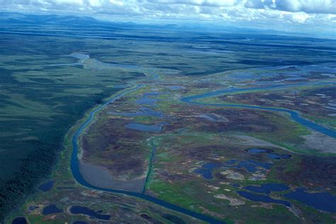 picture river delta swamp aerial perspective