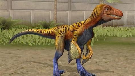 pyroraptor dinopedia fandom powered  wikia