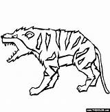 Hyaenodon Prehistoric Mammals sketch template