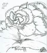 Begonia Drawing Getdrawings sketch template
