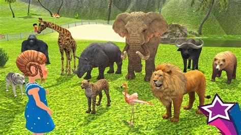 learn animals names  sounds  learning cartoon  kids