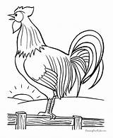 Rooster Coloring Pages Printable Roosters Print Kids Color Bird Cartoon Clipart Funny Colouring Realistic Book Chicken Farm Year Animal Library sketch template
