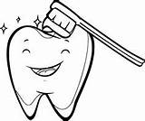 Teeth Tooth sketch template