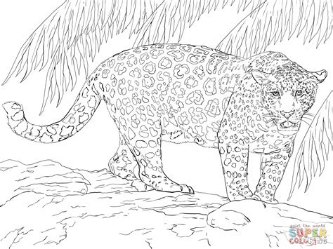 great jaguar coloring  super coloring animal coloring pages