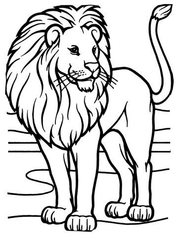 male african lion coloring page  lions category select