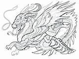 Dragon Coloring Pages Dragons Printable Advanced Adults Cool Real Color Sea Printables Getcolorings Estate Getdrawings Colorings Drawing Search Print Realistic sketch template