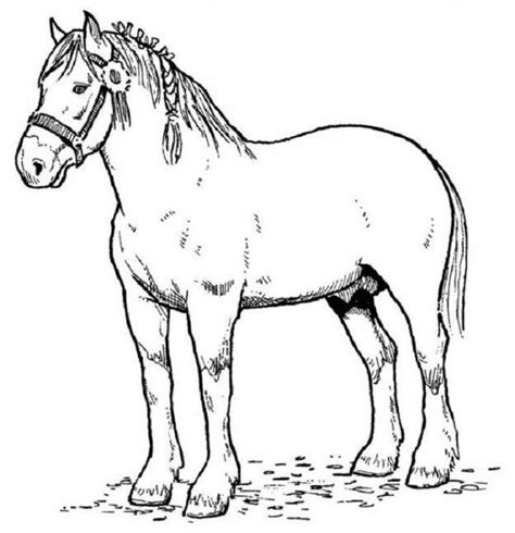 printable horse coloring pages  kids horse coloring horse