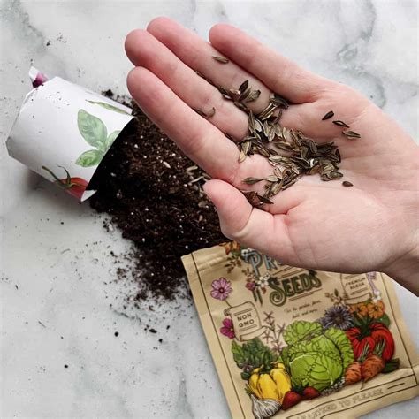 store flower seeds storables