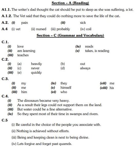 cbse class  english sample paper set