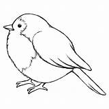 Outline Birds Drawings Bird Clipartmag Coloring sketch template