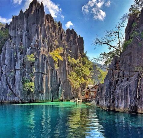 Twin Lagoon Coron Philippines Palawan Cool Places To