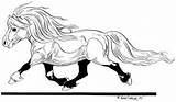 Shetland Furberg Shettis Pony Tegninger Hopper Piczo sketch template