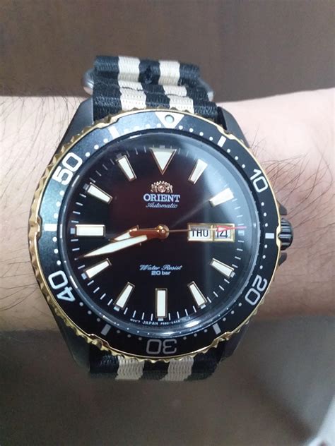 orient kamasu    mako  rwatches