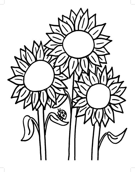 printable sunflower coloring pages