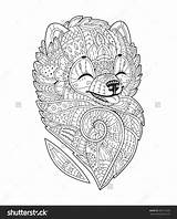 Spitz Coloring Designlooter Antistress Pomeranian Stylized Zen sketch template