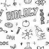 Biology Science Doodles Vector Drawing Symbols Pattern Seamless Background Stock Depositphotos Biologia Illustration Portadas Dibujos School Icons Set sketch template