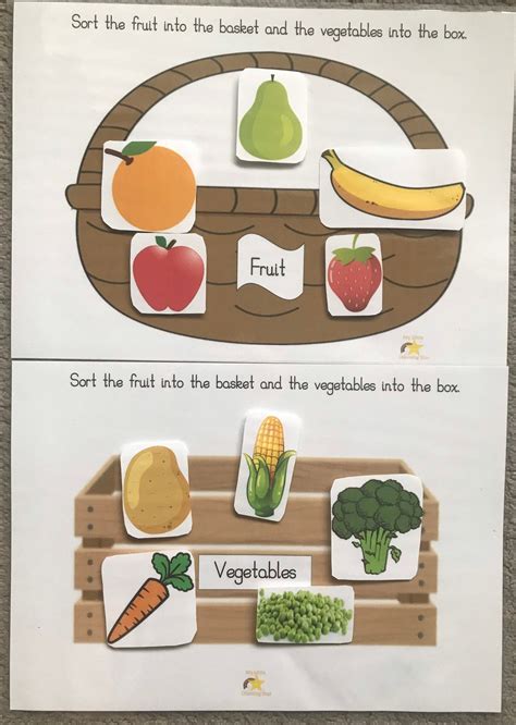 fruit  vegetable sorting activity science healthy eating etsy uk