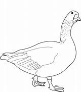 Coloring Goose Pages Geese Printable Comments Categories sketch template