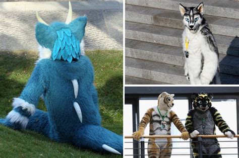 Who Are The Furries Inside The World Of Fursonas Sex Myths And £