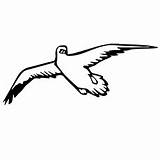 Seagull Coloring 230px 47kb sketch template