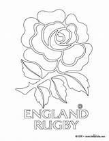 Rugby England Coloring Pages Team Coloriage Football Blason Drawing Nrl Dessin Colouring Angleterre Template Logos Et Color Logo Blanc Print sketch template