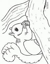 Coloring Squirrel Acorn Cake Designs Pages Prints Coloringhome sketch template