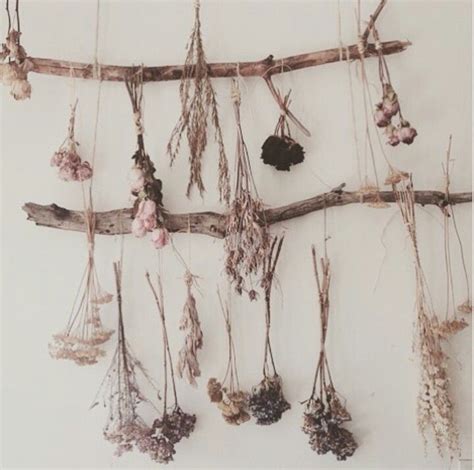 Great Idea For Dried Herbs And Flowers Witch Decor