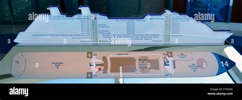 diagrammatic plan  elevation views  cruise ship deck layout