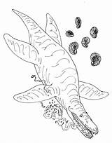 Liopleurodon Avancna Ferox Bw sketch template