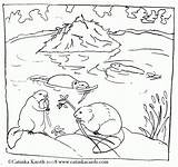 Beaver Biber Tiere Malvorlagen Teich Beavers Protects Kleurplaten Freecoloringpages Malvorlagenwelt sketch template