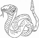 Coloring Cobra sketch template