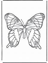 Papillon Schmetterling Motyl Insekter Vlinder Borboleta Mariposa Fargelegg Insekten Kleurplaat Jetztmalen Insects Coloriages Malvorlagen Insectes Nukleuren Insectos Annonse Owady Insecten sketch template
