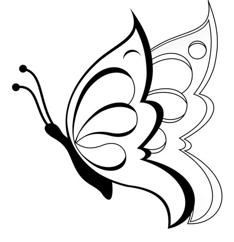 butterfly clipart images    clipartmag