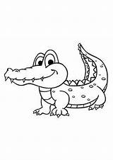 Alligator Crocodile Indiaparenting sketch template