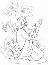 Jesus Praying Coloring Pages Color Printable Getcolorings Print sketch template