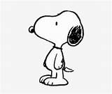 Snoopy Drawing Simple Coloring Pages Nicepng Mistletoe Clipartmag sketch template