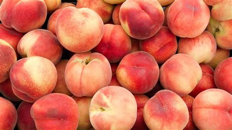 What S In Season Peaches Canadian Food Focus