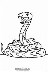 Snake Coloring Pages Printable Kids Cartoon Colour Snakes Animal Animals Print Step Coloringhome Library Clipart sketch template