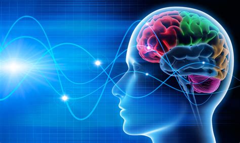 wat  neuroplasticiteit move  brain