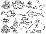 Pages Coloring Marine Animals Getcolorings Ocean sketch template